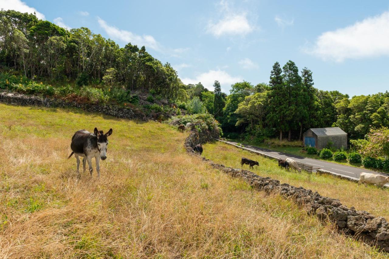 Casa Da Figueirinha Vila Calheta de Nesquim Exterior foto